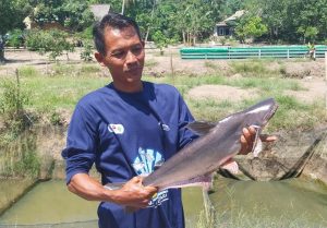 Yudi Penggerak Pokdakan Tunas makmur